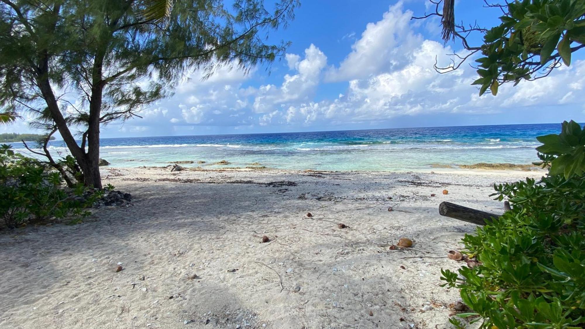 Moorea Chill And Beach Lodge Teavaro Экстерьер фото